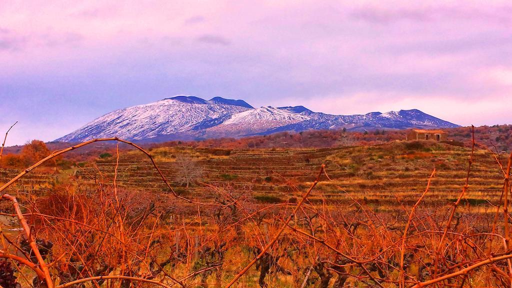 Etna Holiday Home Nicolosi Εξωτερικό φωτογραφία
