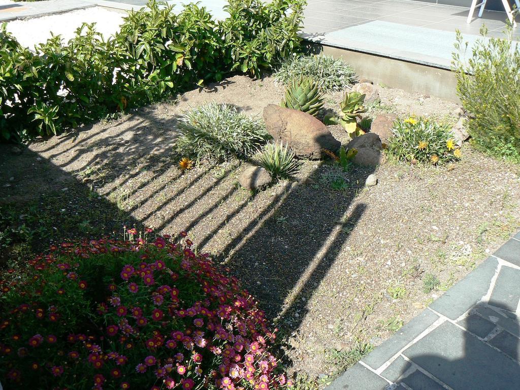 Etna Holiday Home Nicolosi Δωμάτιο φωτογραφία